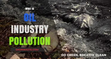 The Dark Side of Oil: Pollution and its Impact