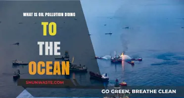 Oil Pollution: Ocean's Silent Killer