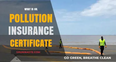 Oil Pollution Insurance: What Ships Need to Know