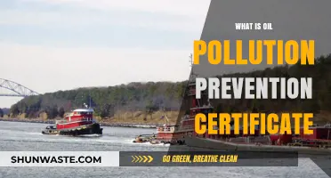 Oil Pollution Prevention: Understanding Certificate Requirements
