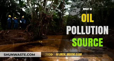 Understanding Oil Pollution: Sources and Origins