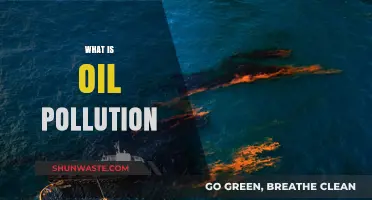 Understanding Oil Pollution: Its Causes and Impacts