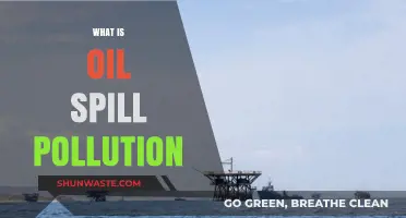 Understanding Oil Spill Pollution