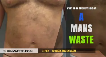 Understanding the Left Side of a Man's Waist: Anatomy and Insights