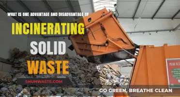 Incinerating Solid Waste: A Double-Edged Solution for Waste Management