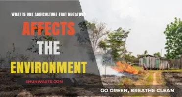 Industrial Farming's Dark Side: Environmental Degradation and Unsustainable Practices