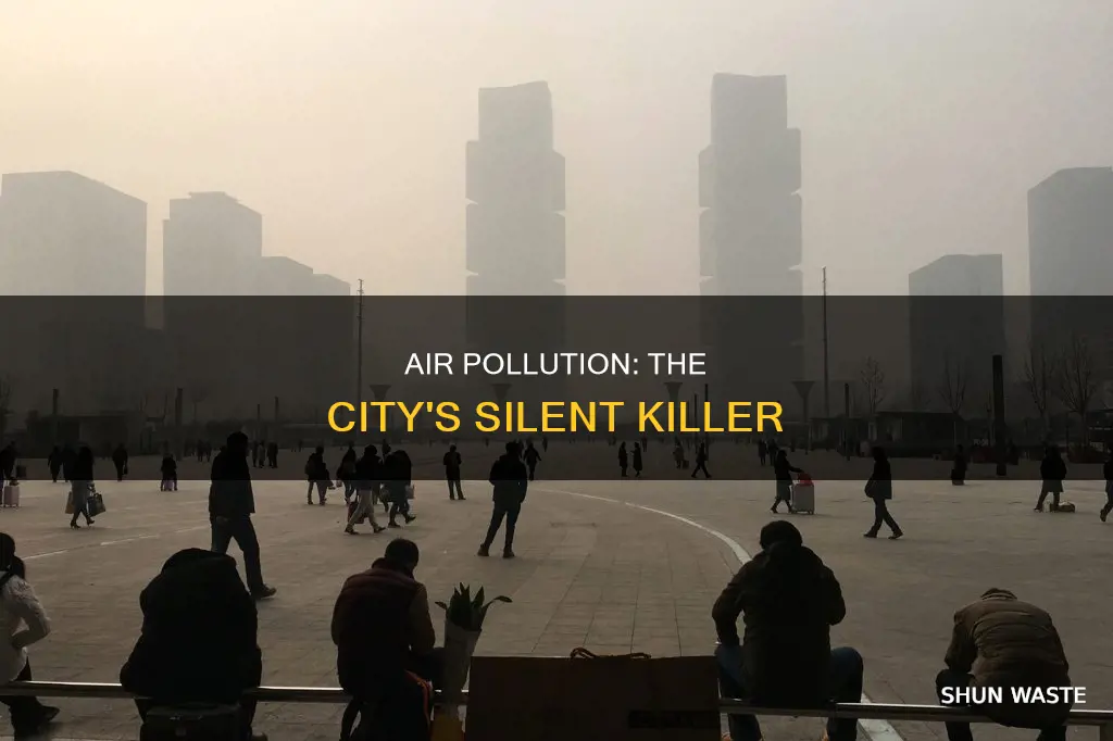 what is one cause of air pollution in our cities
