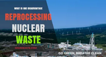 Reprocessing Nuclear Waste: A Hidden Environmental and Safety Risk Explained