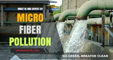 Microfiber Pollution's Impact on Our Oceans