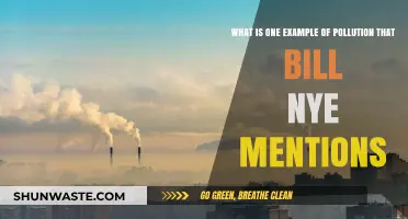 Bill Nye's Example of Pollution: A Case Study
