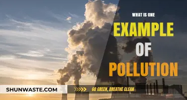 Air Pollution: A Harmful Example of Human Impact