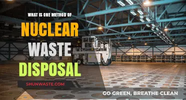 Safeguarding the Future: A Deep Dive into Nuclear Waste Disposal Methods