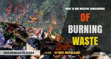 Burning Waste: A Toxic Legacy for Our Environment and Health