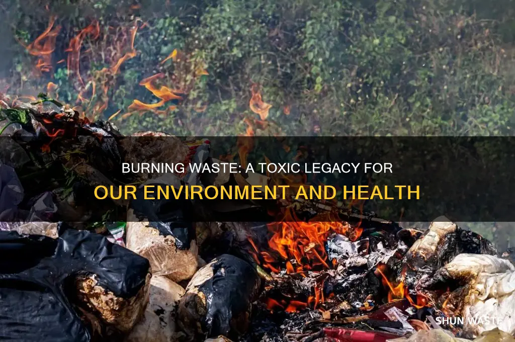 what is one negative consequence of burning waste