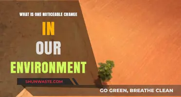 Rising Temperatures: A Noticeable Shift in Our Environment's Health