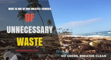 Unnecessary Waste Crisis: Single-Use Plastics' Devastating Environmental Impact Revealed