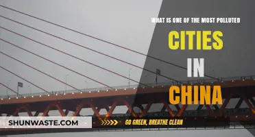 Choking Cities: China's Pollution Crisis