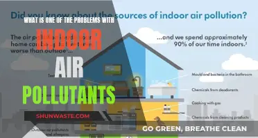 Air Quality Alert: Indoor Pollutants and Their Hazards