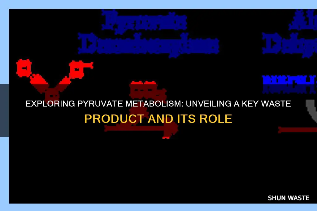 what is one of the waste products of pyruvate