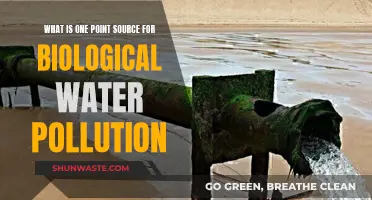 Understanding Biological Water Pollution: One Point Source Explained