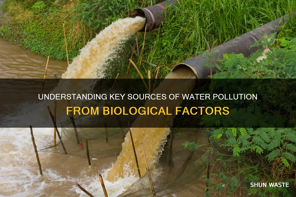 what is one point source for biological water pollution