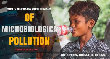 Microbial Pollution: Its Impact on Human Health