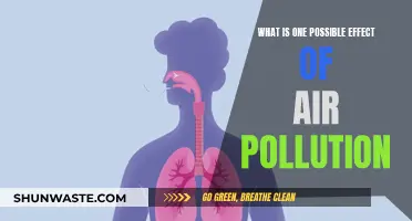 Air Pollution's Impact: A Hazardous Health Crisis