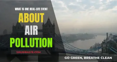 Air Pollution's Real Impact: A Case Study