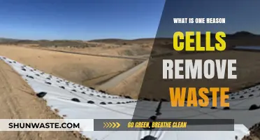 Why Cells Remove Waste: A Key to Cellular Health and Function