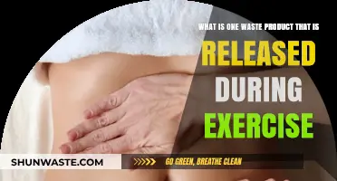 Sweat's Secret: Unveiling the Primary Waste Product of Exercise