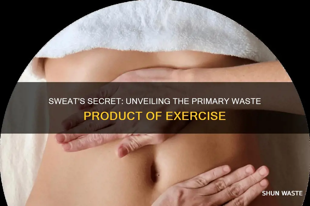 what is one waste product that is released during exercise