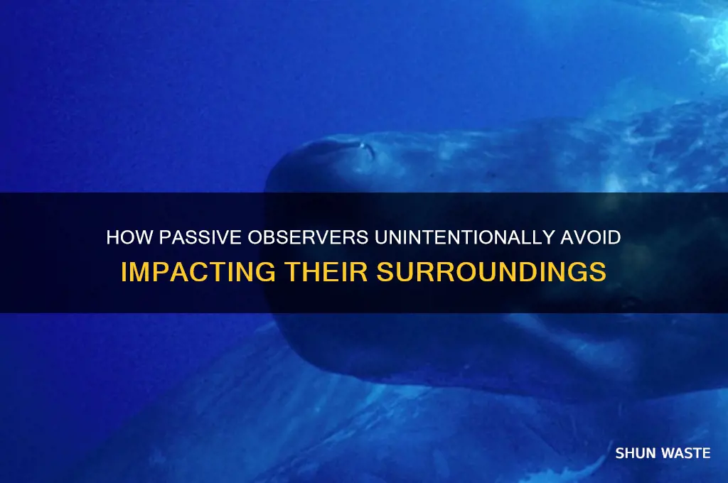 what is one way people do not affect their environment