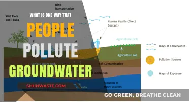 Human Impact: Groundwater Pollution from Agricultural Runoff