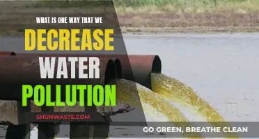 Simple Steps to Reduce Water Pollution: A Guide to a Healthier Planet