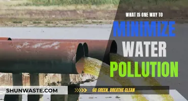 Protecting Our Waters: A Simple Strategy to Reduce Pollution