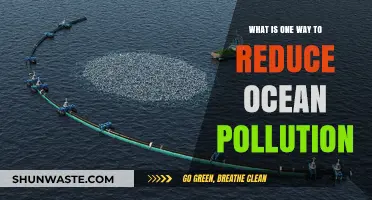 Combating Ocean Pollution: Strategies for a Sustainable Future