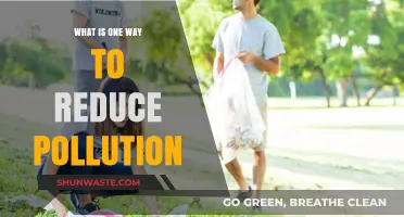 Green Solutions: Reducing Pollution with Sustainable Practices