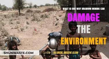 Uranium Mining's Environmental Impact: Soil, Water, and Air Pollution Risks