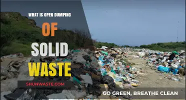 Understanding Open Dumping: The Environmental Impact of Solid Waste Disposal