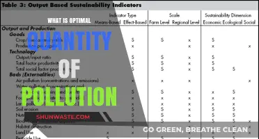 The Right Pollution Balance: A Fine Line