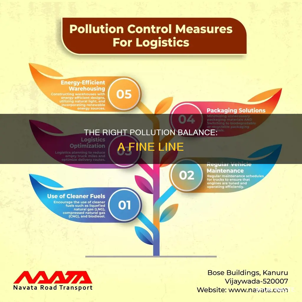 what is optimal quantity of pollution