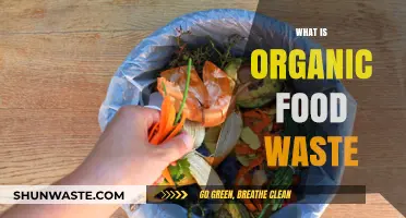 Understanding Organic Food Waste: A Guide to Sustainable Practices