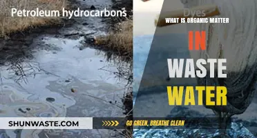 Understanding Organic Matter in Wastewater: Sources, Impact, and Treatment