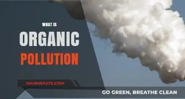 Organic Pollution: Nature's Toxic Threat