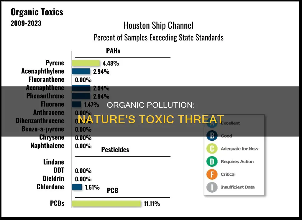 what is organic pollution
