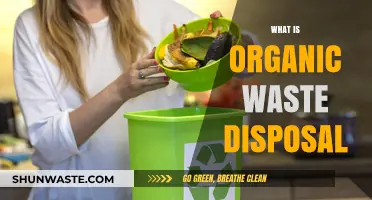 Eco-Friendly Solutions: The Complete Guide to Organic Waste Disposal