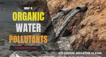 Understanding Organic Water Pollutants: Sources, Effects, and Solutions