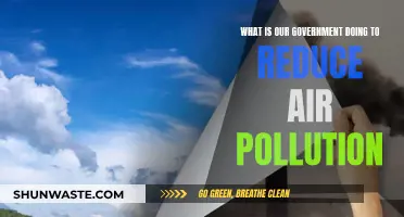 Government Efforts: Reducing Air Pollution