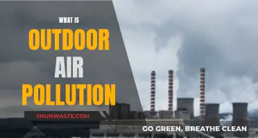 Air Pollution: Outdoor Hazards and Health Risks