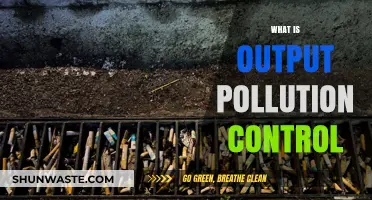 Controlling Output Pollution: Strategies and Solutions